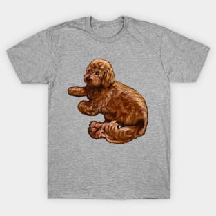 cavalier king charles spaniel poodle Cavapoo puppy dog vogue pose - puppy love T-Shirt